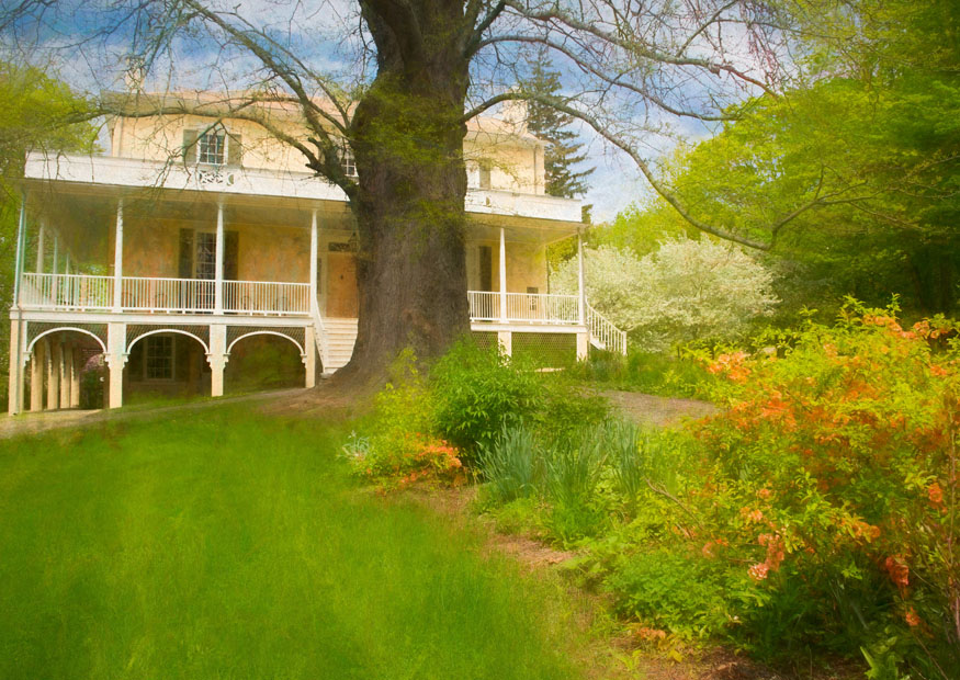 DSC0020 Imp Chk smg 1 s